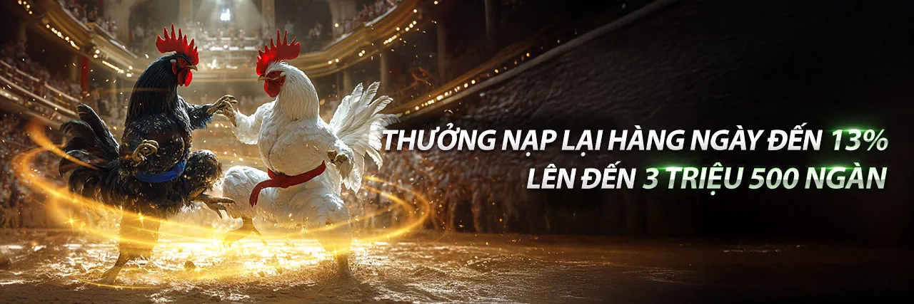 Đá gà trực tiếp b52club với nhiều khuyến mãi